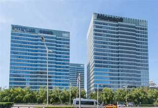 上城区时令植物租赁